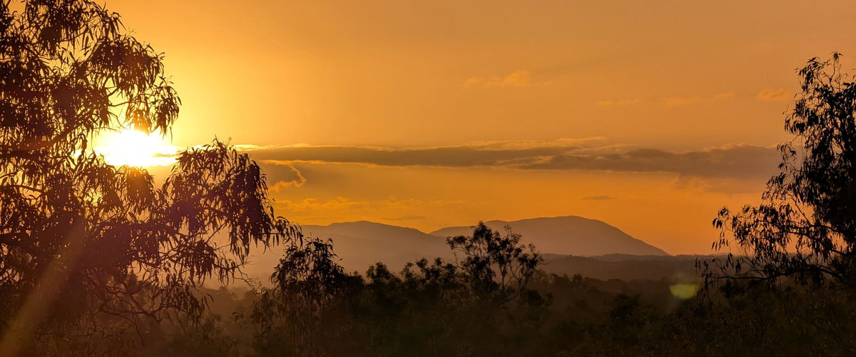 The last of the sun behind the gums, the ranges turning to dusk